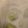 トラととら's cooksnap of when they made ルーなし簡単♪ほんのり甘い絶品シチュー♡.