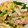 やまったくん's cooksnap of when they made 豚肉と野菜のはるさめ炒めばーちゃんの味♪.