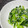 ウキウキるんるん♫'s cooksnap of when they made 小松菜としらす炒め.