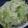 miyuki12's cooksnap of when they made サラダ用の葉野菜をシャキッとパリッと.