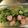 クックOIWQTH☆'s cooksnap of when they made ソーセージと小松菜のサラダエレガンス炒め.