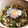 sara0802's cooksnap of when they made レモンとだし醤油の釜揚げうどん.