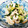 erinippi's cooksnap of when they made 低糖質！ささみときゅうりの作りおきサラダ.