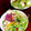 ルぴあ's cooksnap of when they made 簡単　お豆腐とレタスのさっぱりサラダ.