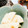 みかっしー0616's cooksnap of when they made 長芋のお漬物〜土佐酢風.
