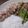 クックCPQRXF☆'s cooksnap of when they made 豚バラ肉の低温調理ソテー はちみつソース.