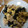 凪なぎ's cooksnap of when they made 豚肉と卵ときくらげの炒め物.