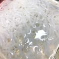 サーオ's cooksnap of when they made ☆白滝の保存方法☆.