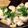 料理に目覚めた高校生's cooksnap of when they made 長芋のとろーりチーズステーキ.
