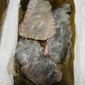 こんちくわガーリック's cooksnap of when they made 意外と超簡単　鯛の昆布締め.