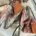 canadawhistler's cooksnap of when they made 初心者OKマグロ漁師さん鮭頭簡単さばき方.