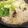 低カロ探検隊's cooksnap of when they made 豚肉とレタスの白滝鍋.