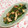 バカリャウ's cooksnap of when they made 春菊と舞茸の☆オイスターバター炒め.
