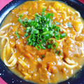 ❤️かわだん❤️'s cooksnap of when they made 我が家のカレーうどん.