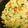 ﾏﾕｺｺ's cooksnap of when they made ゆずの香りがたまらない！冬のポテトサラダ.