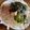 クック9P6O5D☆'s cooksnap of when they made 明太子とろろで大根サラダ.