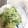 ユファ。's cooksnap of when they made もやしとかいわれ大根の激安サラダ♪♪.