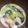 やーしー's cooksnap of when they made チンゲン菜としめじとベーコンのクリーム煮.