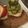 クック4C38C8☆'s cooksnap of when they made クリスマスに！キウイでツリー飾り.