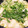 Muffin33's cooksnap of when they made 根菜とイワシの水煮缶でほっこりつみれ汁.