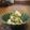 inyako's cooksnap of when they made 菊芋とキュウリの酢の物.