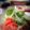 inyako's cooksnap of when they made いつものたっぷりサラダ.