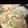 Hightea1's cooksnap of when they made 豆苗とトマトの夏スープ.