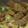 ヨシヨッシー's cooksnap of when they made まぐろとサーモンで和風ポキ丼.