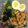 Lake☆Erie's cooksnap of when they made 簡単！ブロッコリ–と豚バラ焼きそば.