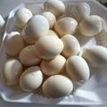 himie's cooksnap of when they made クッキングプロでゆで卵.