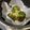 JANG♡'s cooksnap of when they made 圧力鍋で蒸し野菜。.