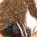 67luna's cooksnap of when they made 【農家のレシピ】黒胡麻わさびドレッシング.