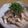 きみ子's cooksnap of when they made エリンギの梅、青じそ和え.