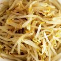 クックみゅーみゅー's cooksnap of when they made モヤシはレンジで4分チン♪で簡単付け合せ.