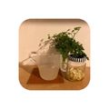 クック4649★'s cooksnap of when they made はちみつ大根葛湯.