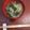 horseland's cooksnap of when they made わかめと大根の塩麹味噌汁.