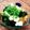 あーこ姐's cooksnap of when they made 納豆わかめっチーズ.