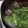 びぃーたん's cooksnap of when they made もずくと玉ねぎのスープ.