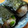 じゃりてん's cooksnap of when they made 塩昆布と桜えびで枝豆。のおにぎり.