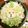 クックHICVMP☆'s cooksnap of when they made 豚肉と白菜のミルフィーユ鍋☆.