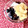 ふたごゆき's cooksnap of when they made おせち活用♪きんとんと黒豆のヨーグルト.