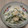 ＭＩＬＵ's cooksnap of when they made 数の子ときゅうりのわさびマヨ和え.
