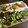 ※ぴーまん's cooksnap of when they made あるとついつまんじゃうモヤシの作り置き.