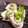 ☆あいちゃん's cooksnap of when they made くるくる☆ちくわシソ巻き.