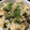 クックM6DK2O☆'s cooksnap of when they made 梅風味＊ひじきと蓮根の炊き込みご飯.
