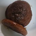 小５料理男子's cooksnap of when they made マヨめんつゆでしいたけのバター焼き.
