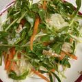 ＊なみへい＊'s cooksnap of when they made 豆苗と大根と人参のまぜまぜサラダ.