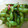 saki1010's cooksnap of when they made 枝豆の和え物.