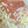 xyzクック's cooksnap of when they made 簡単ミートソースパスタ.