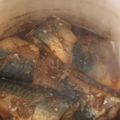 茶々２歳's cooksnap of when they made サバ味噌煮.